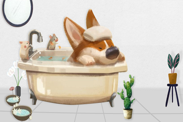 What is Pet Spa?