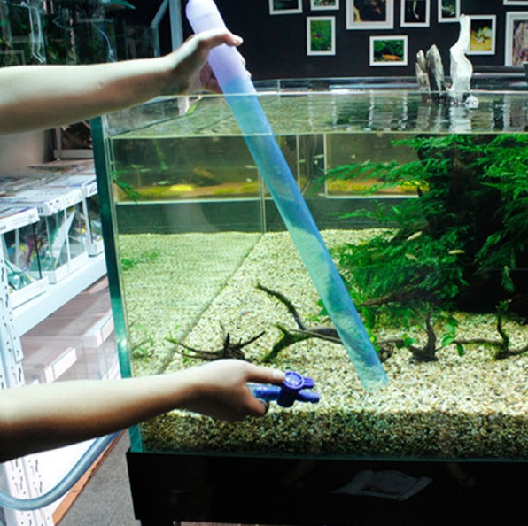 THE BEST WATER MANUAL FOR KEEPING ANIMAL FISHES